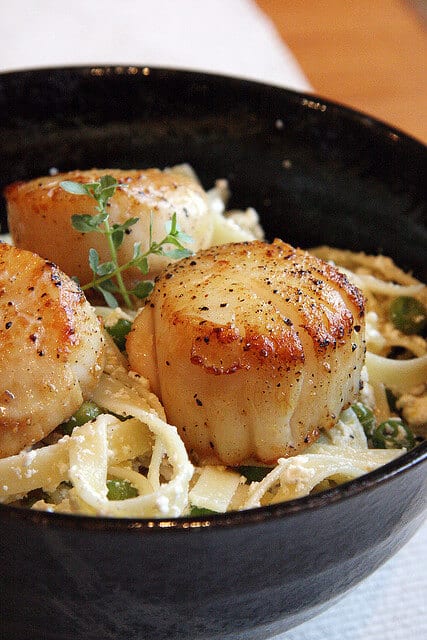 Lemon-Ricotta Pasta with Seared Scallops - Crumb: A Food Blog