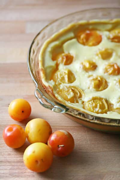 Yellow Plum Clafoutis