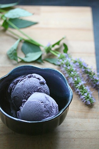 Blueberry Hyssop Ice Cream