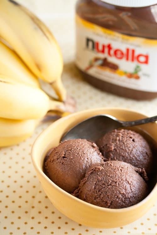 Chocolate Hazelnut Banana Ice Cream