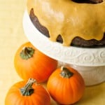 Chocolate Pumpkin Spice Bundt