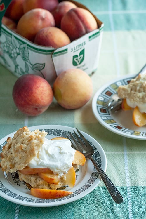 Gingery Fresh Peach Shortcakes