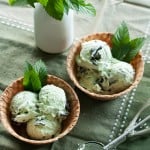 Mint Chip Ice Cream