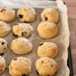 Saskatoon Berry Scones