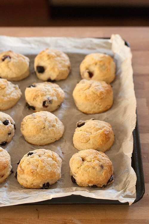 Saskatoon Berry Scones