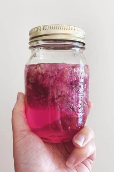 Chive Blossom Vinegar